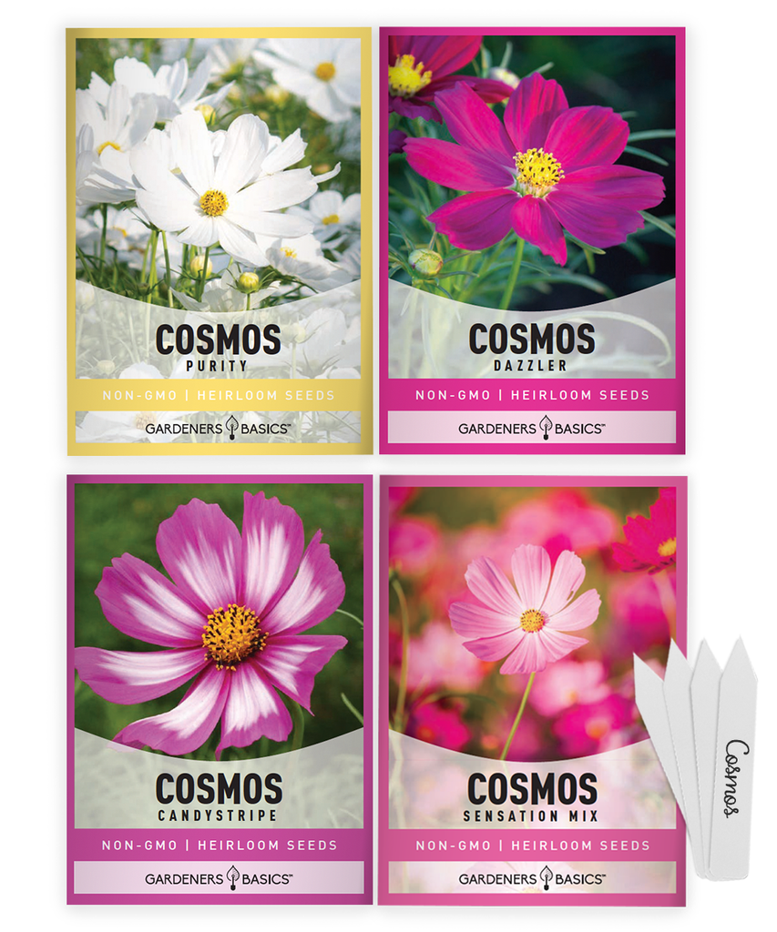 Cosmos seeds Flower seeds Planting seeds Home garden Assortment pack Candystrip Pink Cosmo Sensation Mix Cosmos Dazzler Cosmo Purity Cosmos Bees Pollinators Pretty pink flowers Pretty white flowers Cut flowers Heirloom Non-GMO Dwarf flowers Giant flowers Annual flower Butterfly attractant