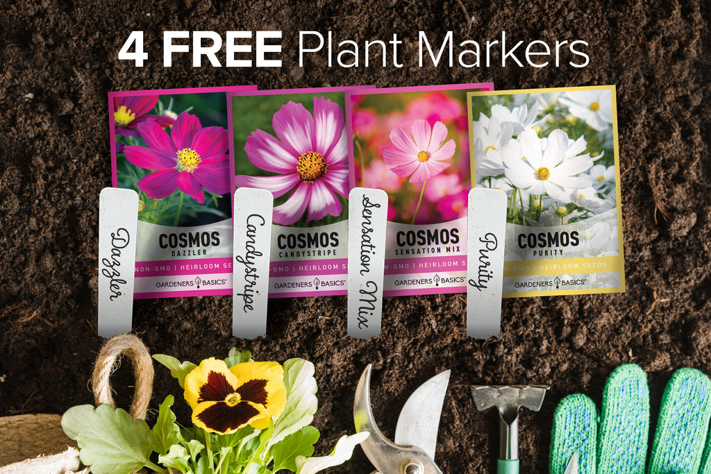 A Gardener's Dream: Cosmos Seeds Flower Seeds To Plant 4 Pack Assortment