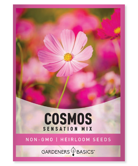 Cosmos Sensation Mix Seeds Annual flowers All America Selections winner Pink, rose, white, and crimson flowers Full sun Moderate moisture Fall blooming flowers Pollinators Cut flowers Garden plants Landscape Tall flowers Old-fashioned favorites Vibrant colors Easy to grow