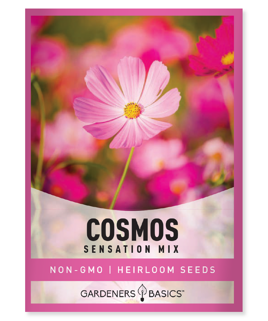 Cosmos Sensation Mix Seeds Annual flowers All America Selections winner Pink, rose, white, and crimson flowers Full sun Moderate moisture Fall blooming flowers Pollinators Cut flowers Garden plants Landscape Tall flowers Old-fashioned favorites Vibrant colors Easy to grow