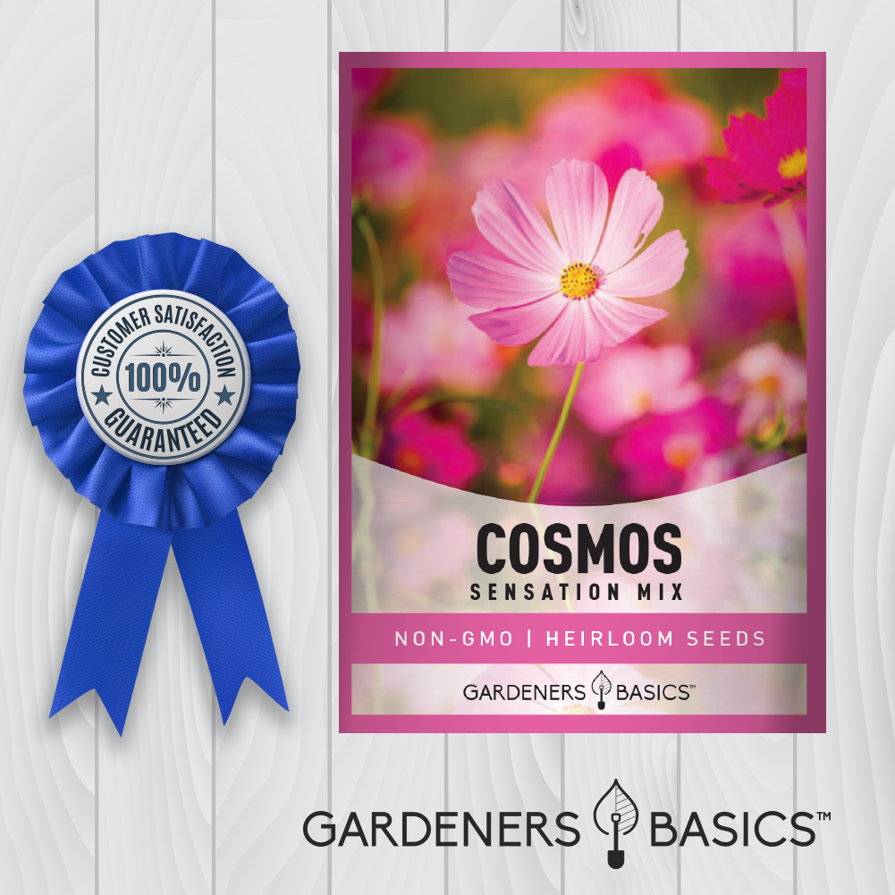 Mix of Pink, Rose, White, and Crimson: Cosmos Sensation Mix Seeds