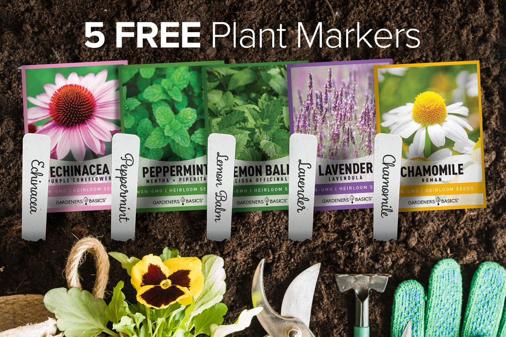 Naturally Caffeine-Free: Herbal Tea Seeds for Growing Your Own Tea Garden