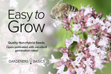 Attract Monarch Butterflies with Mexican Whorled Milkweed in Your Landscape