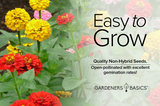 The Importance of Pollinator Plants: Zinnia Lilliput Mix and Beyond