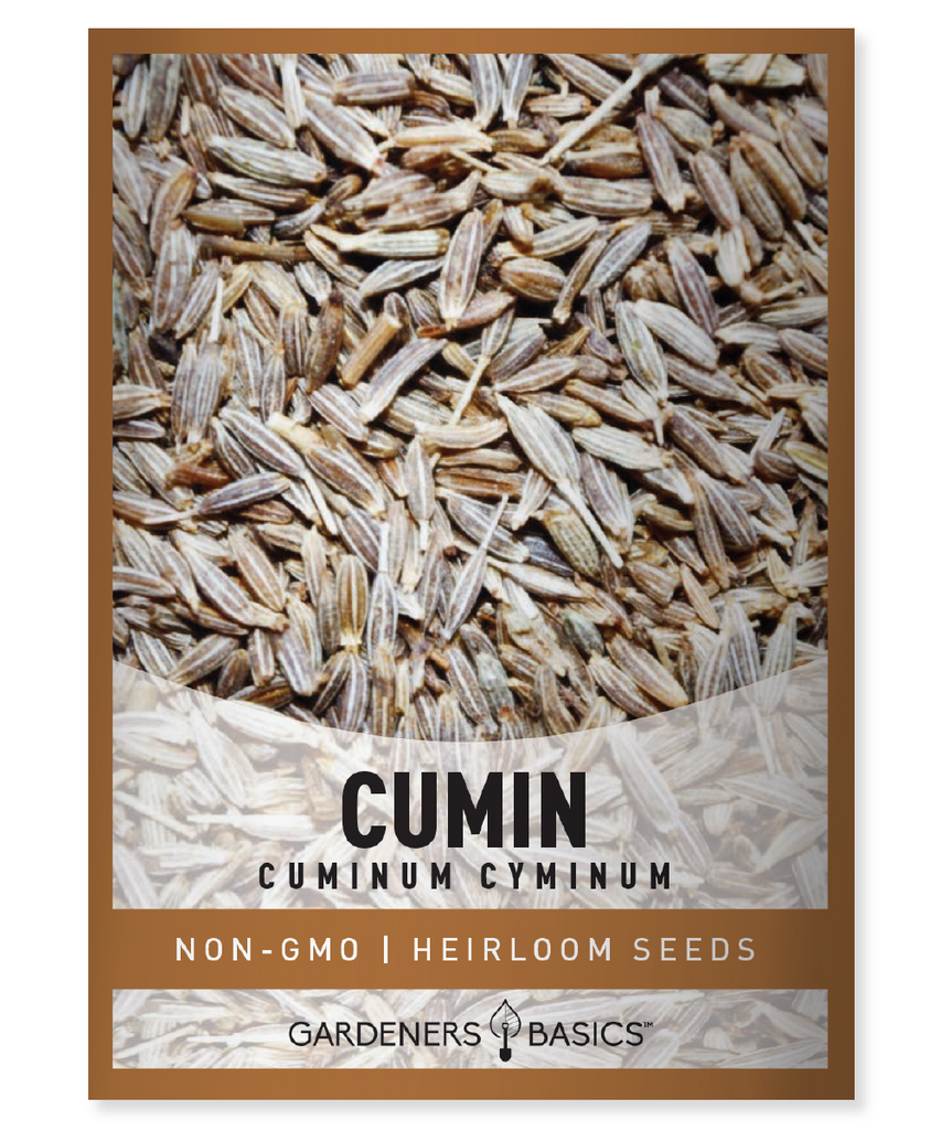 Organic Cumin Seeds, Non-GMO, Cuminum cyminum, Germination, Cultivation, Harvesting, Culinary Spice, Medicinal Herb, Herb Garden, Healthy Cooking, Homegrown Flavor, Indian Cuisine, Mexican Cuisine, Middle Eastern Cuisine, Gardening Tips