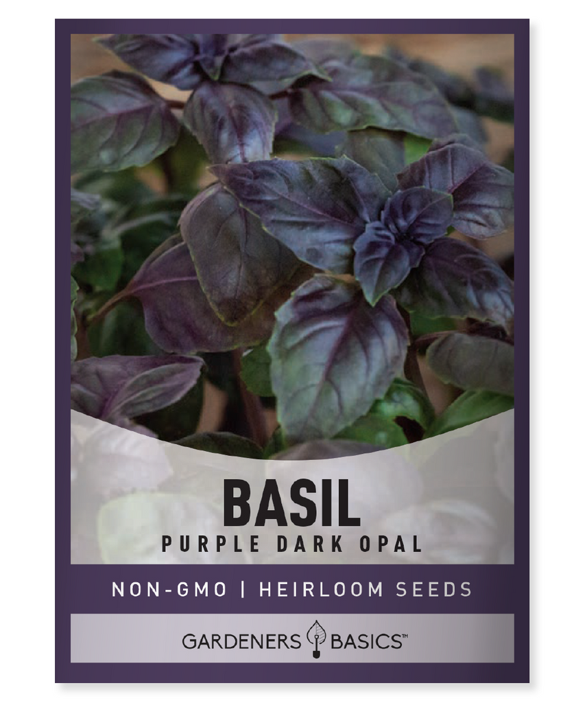 dark opal basil seeds basil seeds herb seeds gardening homegrown culinary fresh flavorful rich color unique taste fragrant beautiful herb garden elevated cooking organic non-GMO heirloom indoor gardening outdoor gardening sustainable