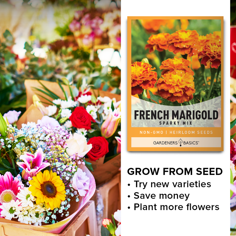 marigold french sparky seeds French Marigold Sparky Mix Seeds for Sale: Vibrant & Versatile Flowers