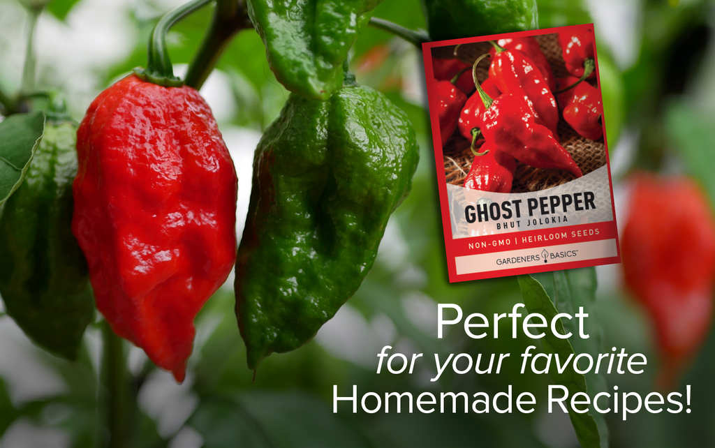 From Seed to Scorch: Bhut Jolokia Ghost Pepper Seeds for Planting