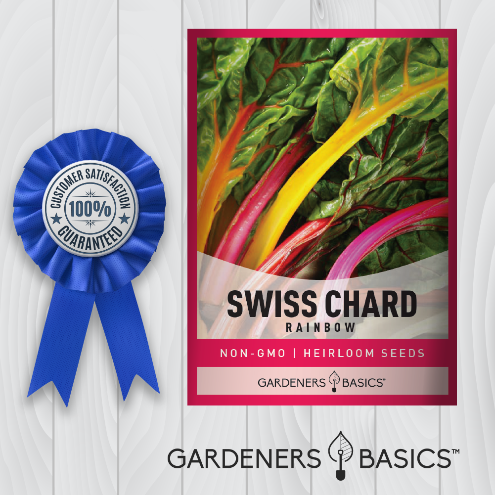 Rainbow Swiss Chard Seeds: Perfect for Container and In-Ground Planting