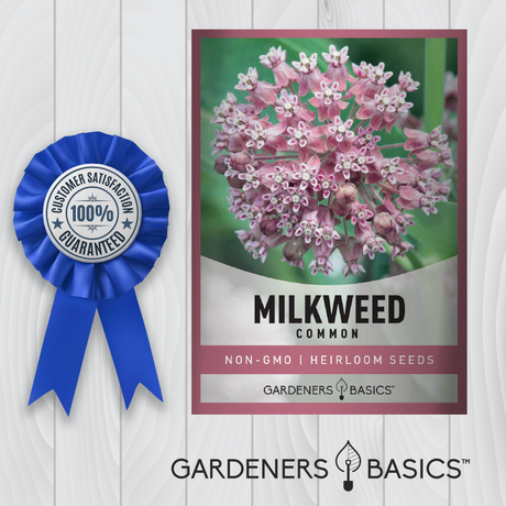 Growing Asclepias Syriaca for Your Butterfly Garden: A Step-by-Step Guide