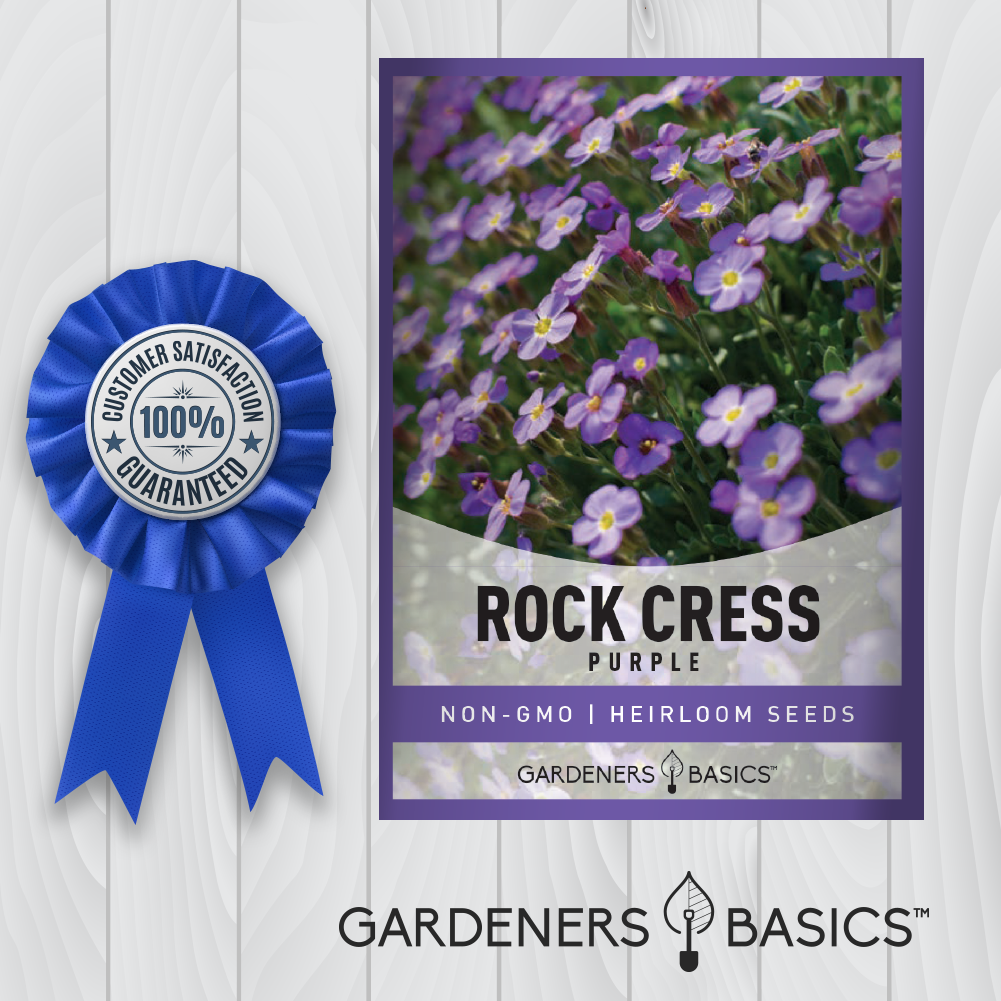 The Beauty and Versatility of Aubrieta Deltoidea in Your Landscape