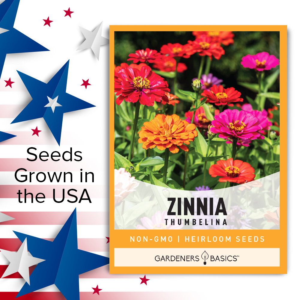 Transform Your Garden with Zinnia Thumbelina's Mixed Colors