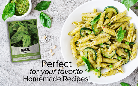 Transform Your Garden with the Fragrant Aroma of Lemon Basil Seeds
