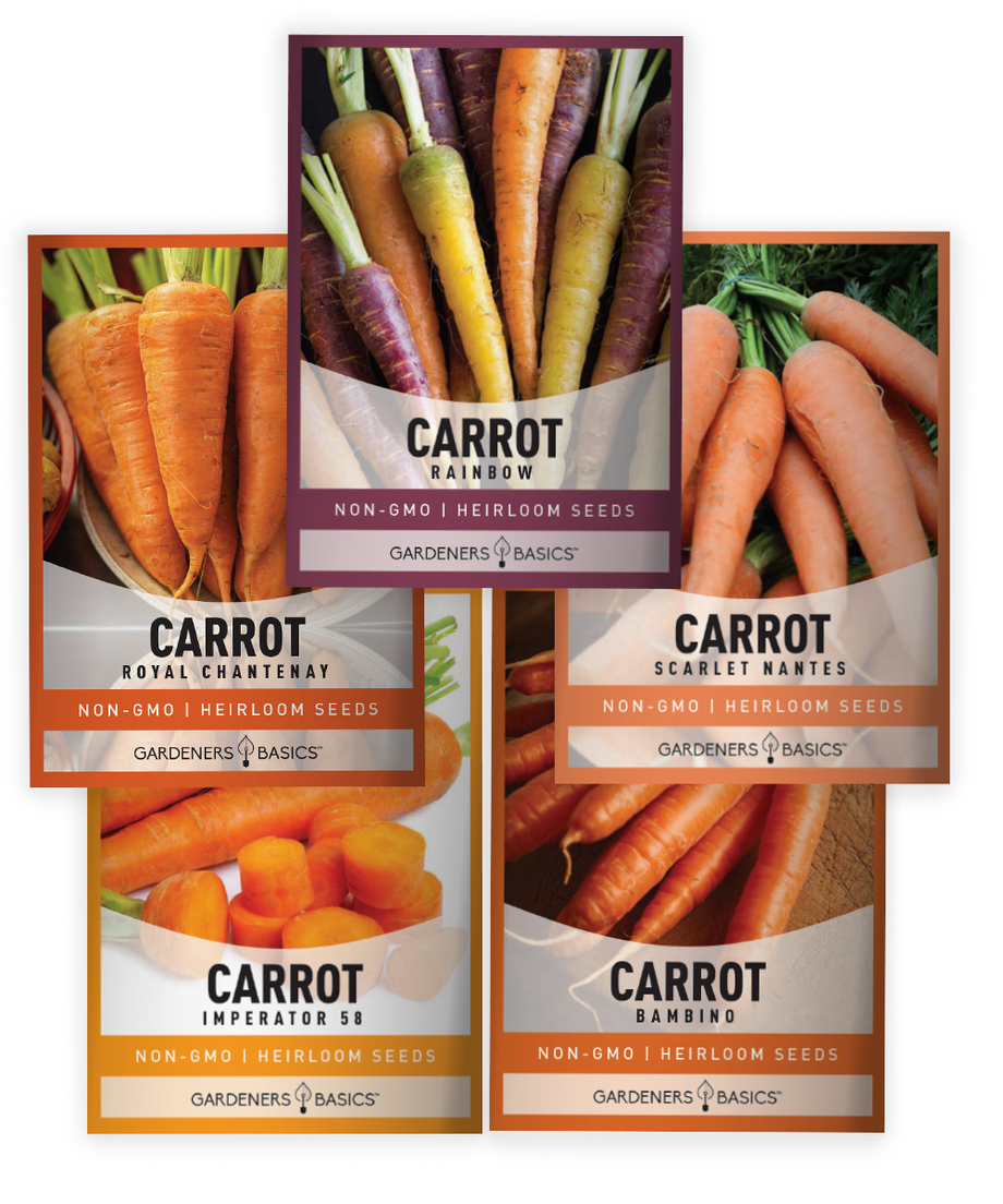 cheapest seeds for planting Shop 5 Carrot Seeds Variety Pack – Heirloom Carrots for Home Gardens – Gardeners Basics