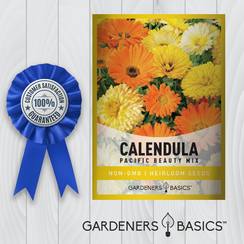 The Many Benefits of Growing Pacific Beauty Mix Calendula