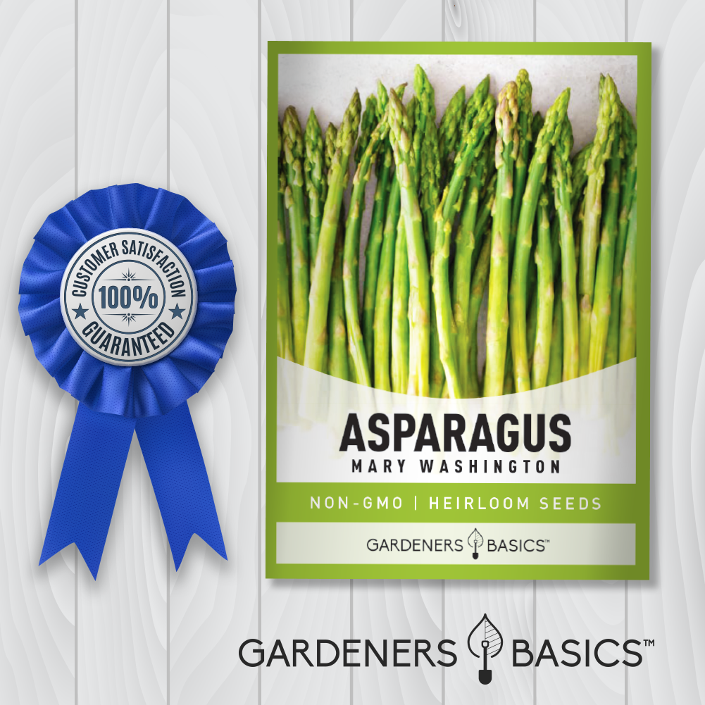 Planting and Care Guide for Mary Washington Asparagus Seeds