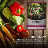 Red Oakleaf Lettuce Seeds – The Perfect Addition to Your Home Garden & Healthy Diet