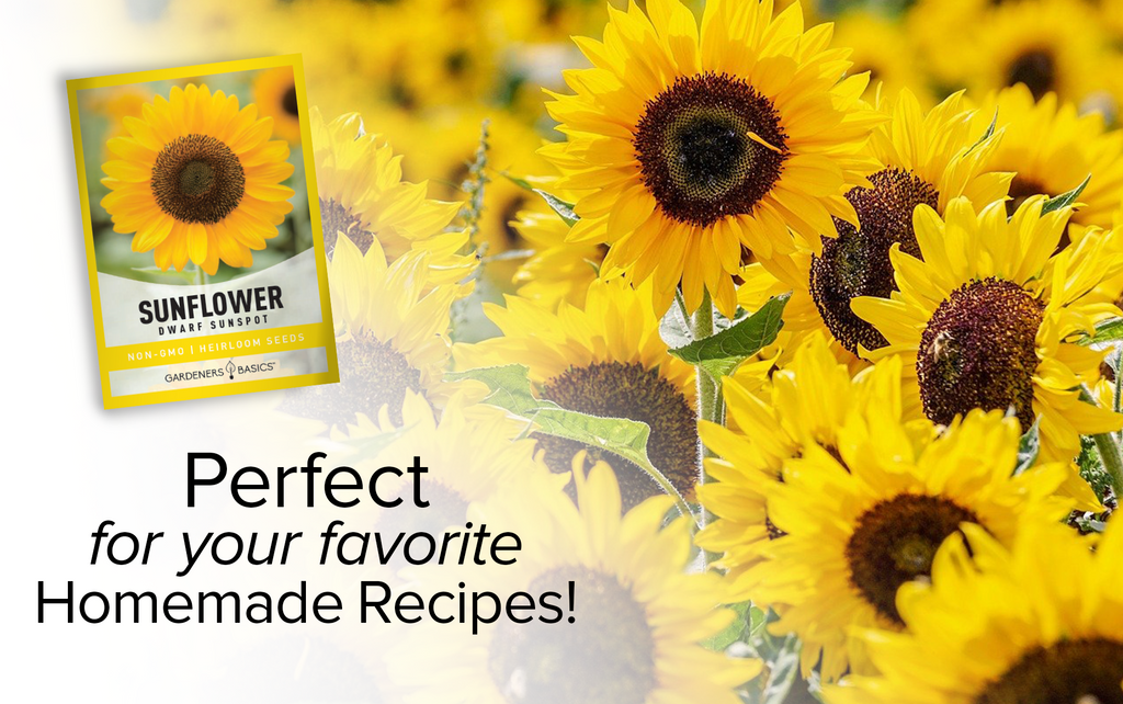 Create Stunning Cut Flower Arrangements with Sunspot Sunflowers