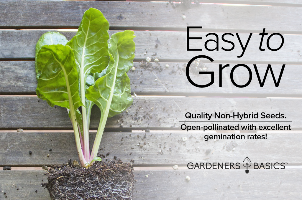 Grow Your Own Nutrient Powerhouse with Barese Swiss Chard Seeds