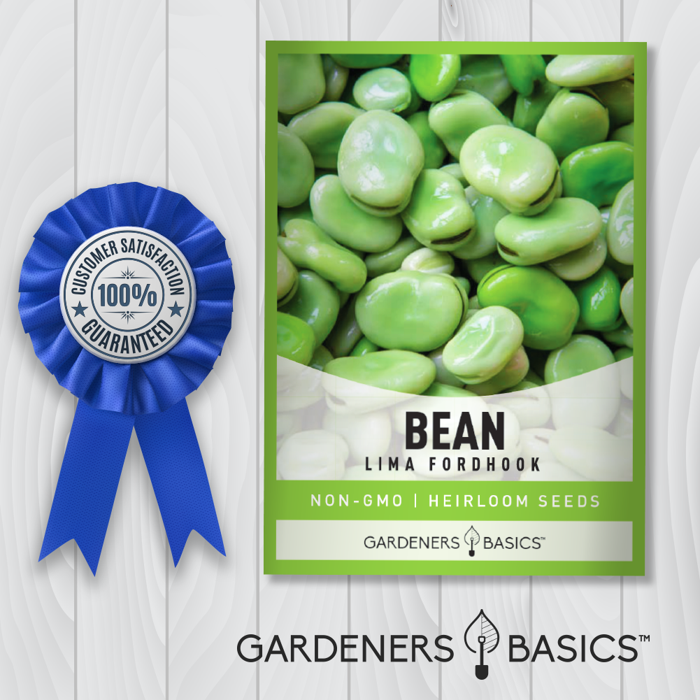 The Secret to Growing the Best Fordhook Lima Beans at Home
