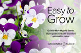 Enjoy Fragrant Blooms with Helen Mount Johnny Jump Up Flower Seeds