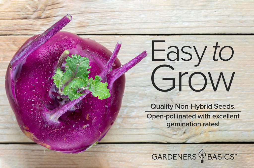 Purple Vienna Kohlrabi: The Perfect Blend of Flavor and Nutrition