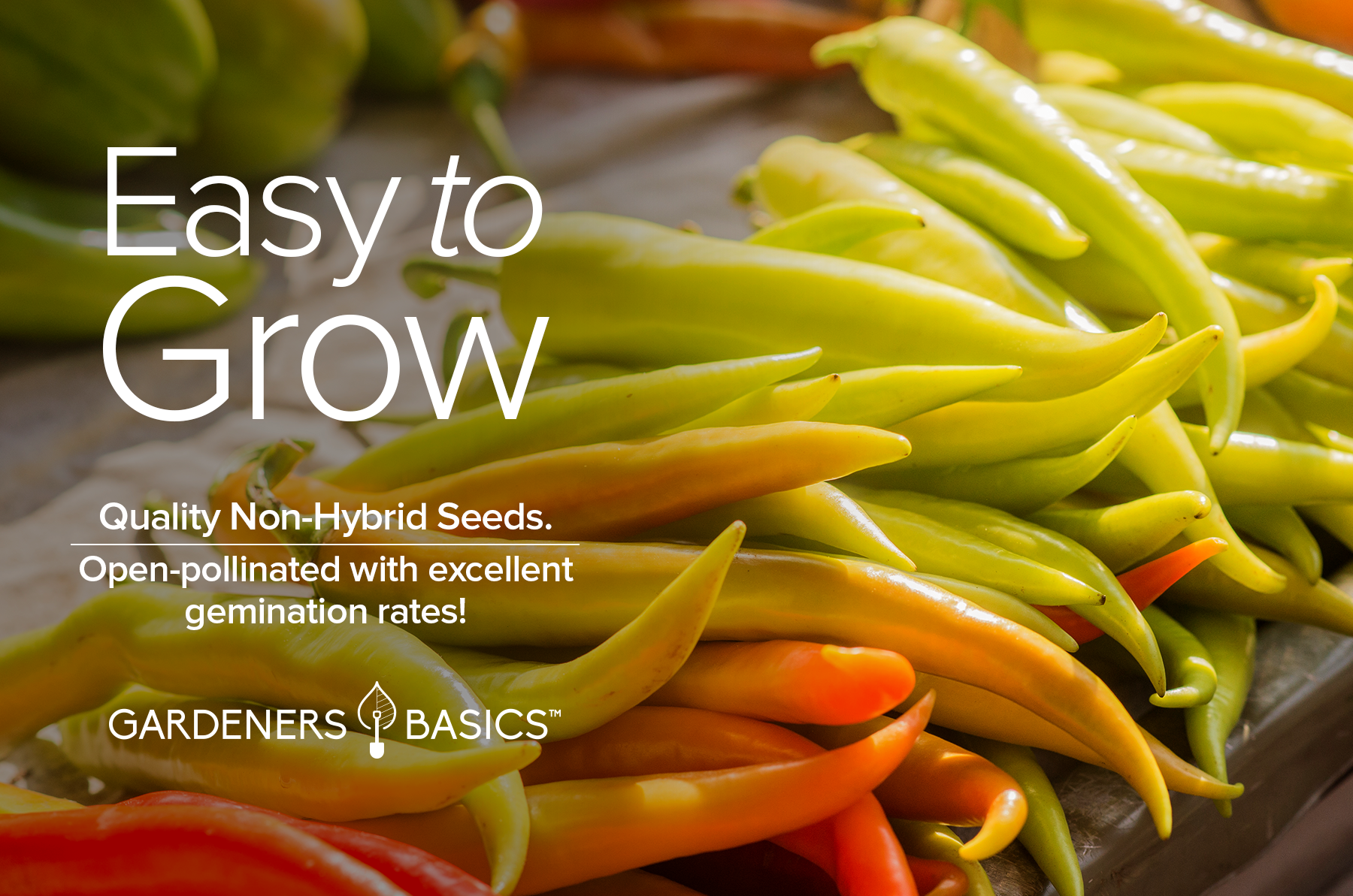 planting banana pepper seeds Sweet Banana Pepper Seeds – Gardeners Basics