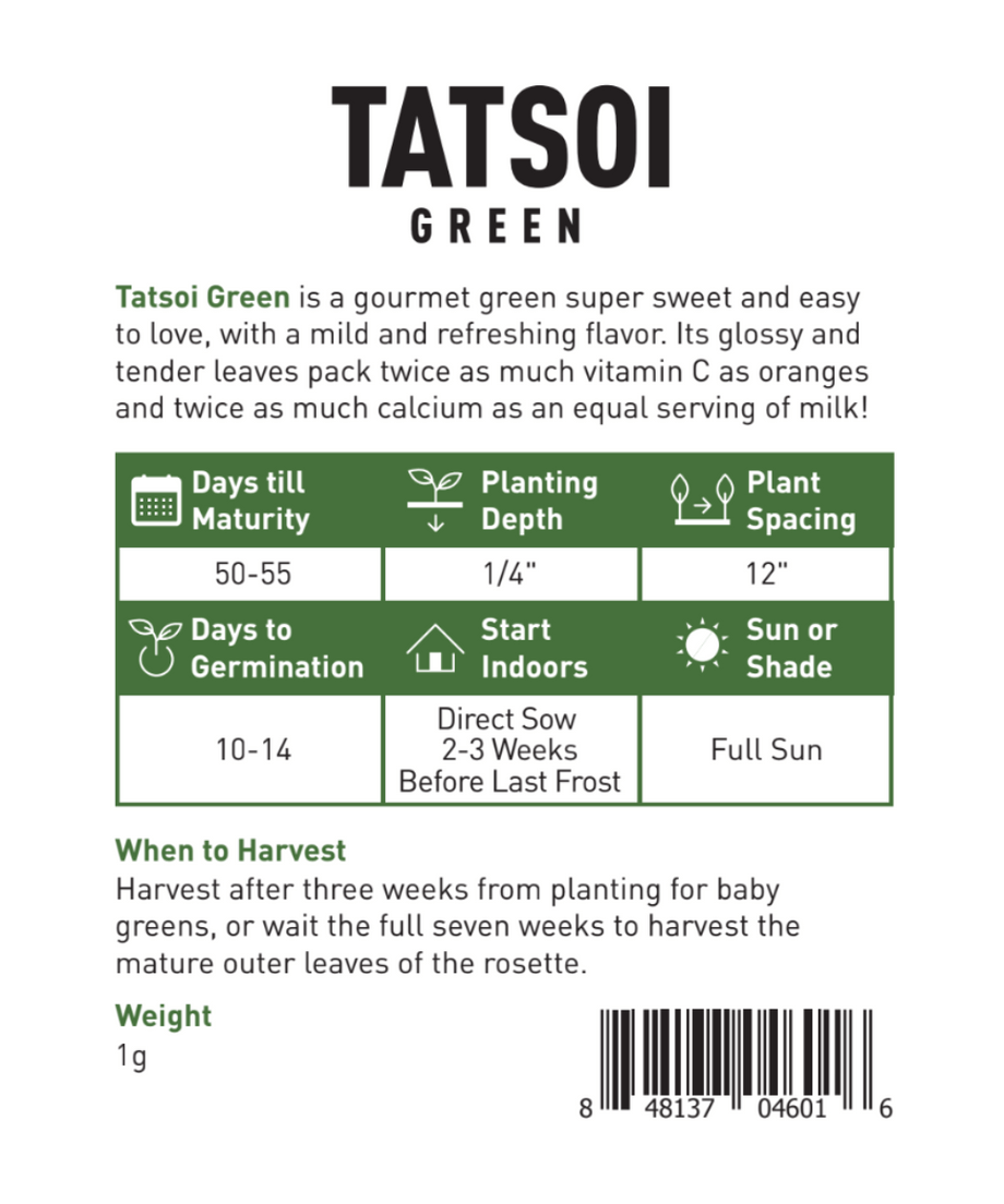 planting tatsoi seeds Tatsoi Seeds, Green