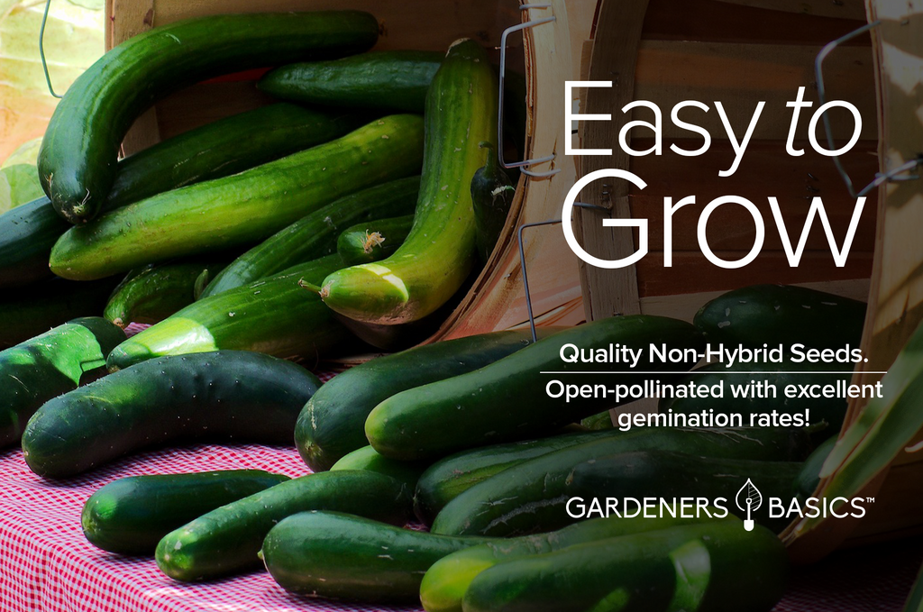 Tendergreen Burpless Cucumber Seeds - Perfect for Salads and Pickling