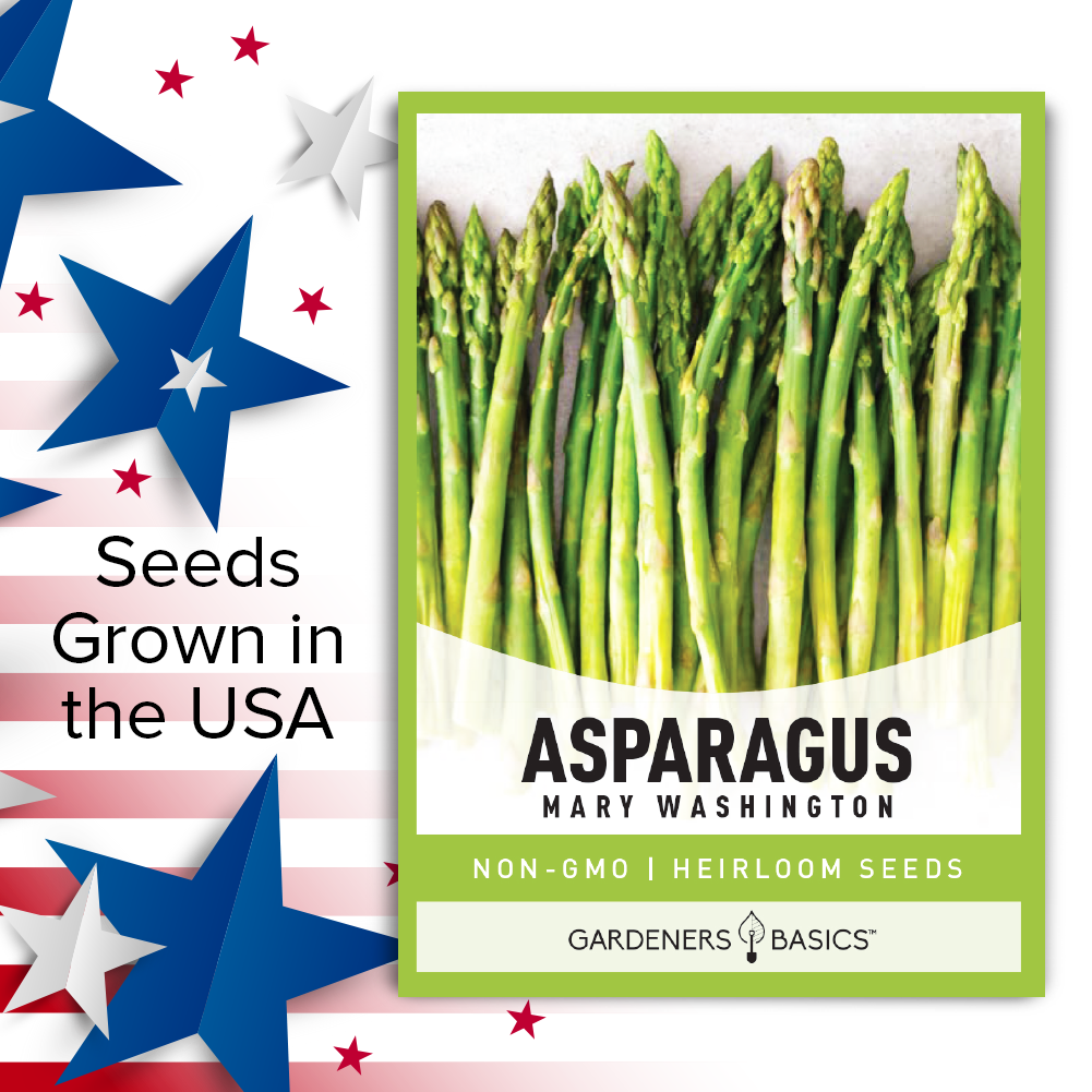 The Best Choice for Organic Asparagus: Mary Washington Seeds