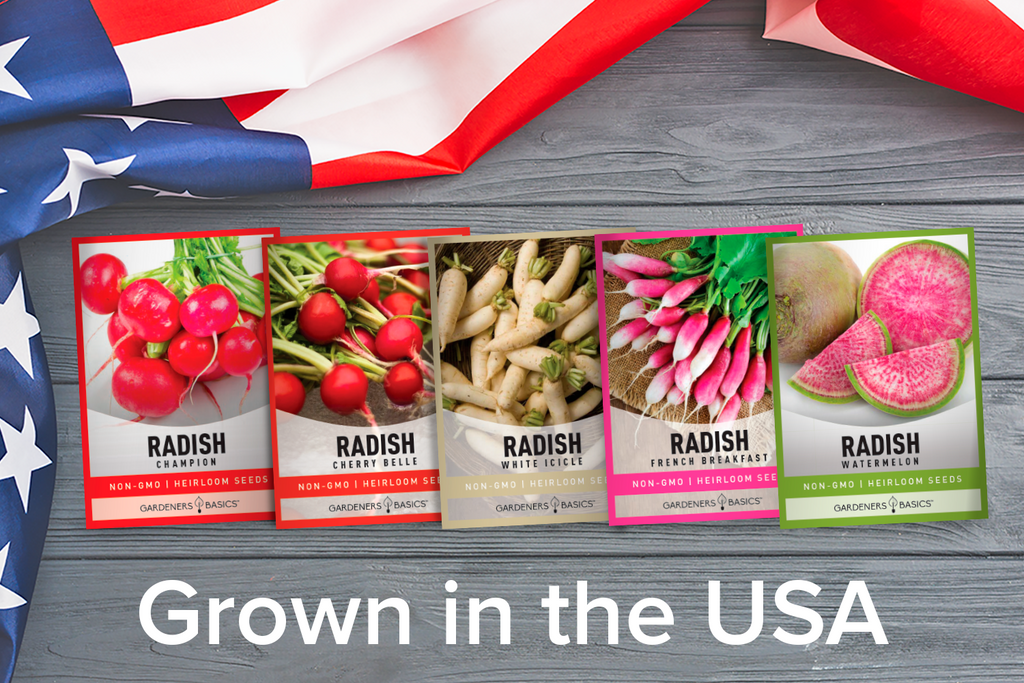 Discover the Joy of Growing Radishes with Our Heirloom Seeds