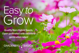 Discover the Beauty of Cosmos Flowers with This Variety Pack of Seeds
