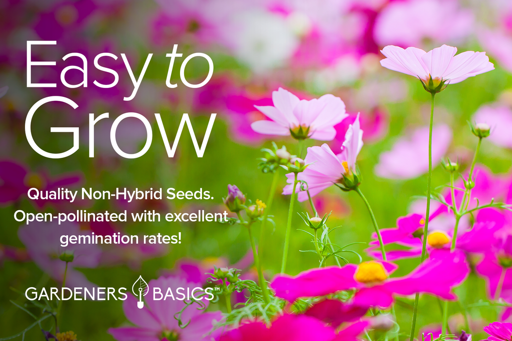 Discover the Beauty of Cosmos Flowers with This Variety Pack of Seeds