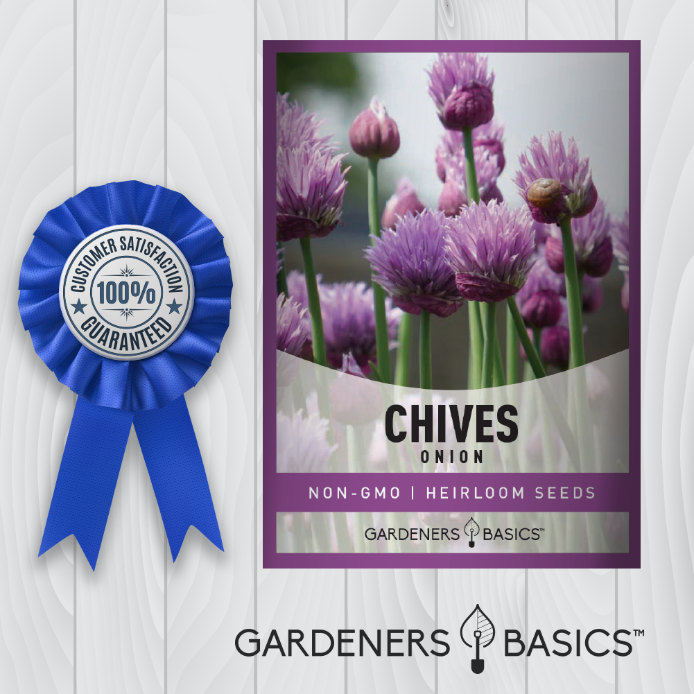 Common Chives Seeds Chive Seed For Sale Online