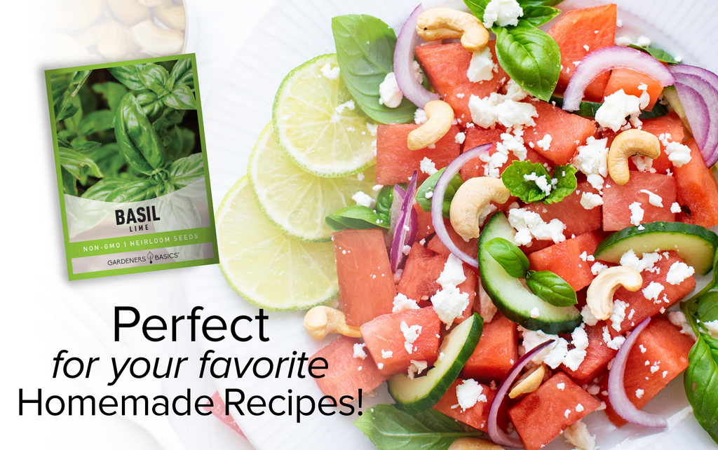 Elevate Your Culinary Skills with Heirloom Lime Basil Seeds