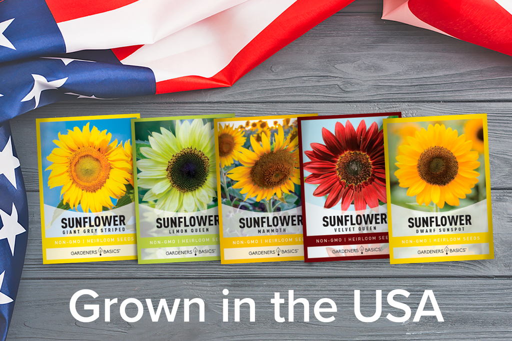 Plant the Seeds of Happiness with Our 5 Pack of Sunflower Seeds