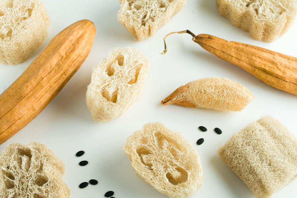 Plant the Perfect Garden with our High-Quality Luffa Seeds