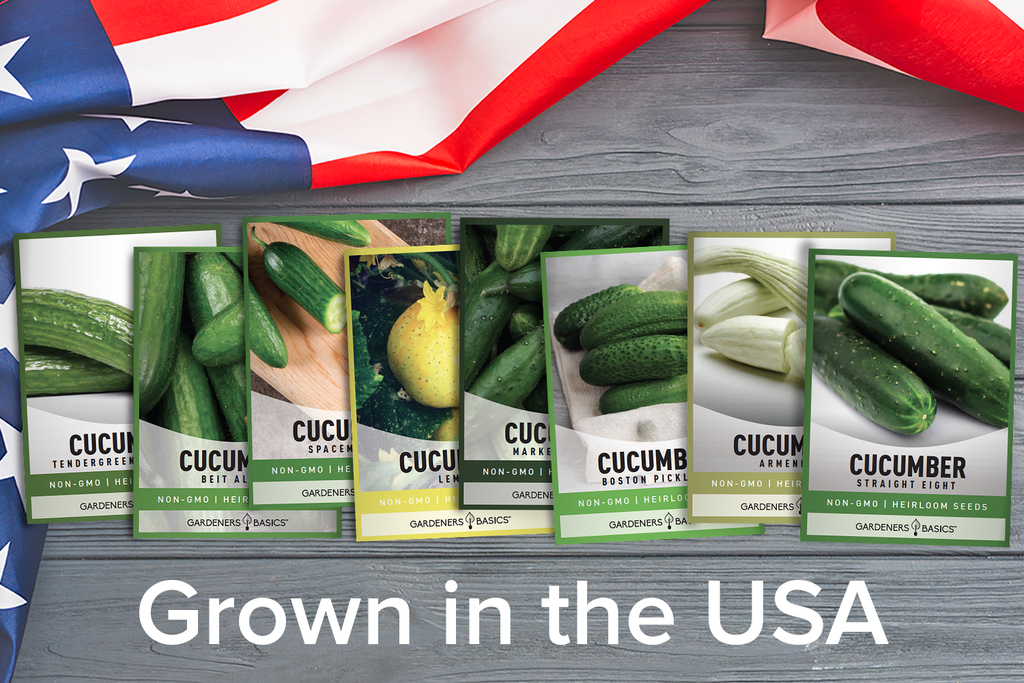 Plant a Rainbow of Cucumbers with Our 8 Variety Pack of Seeds