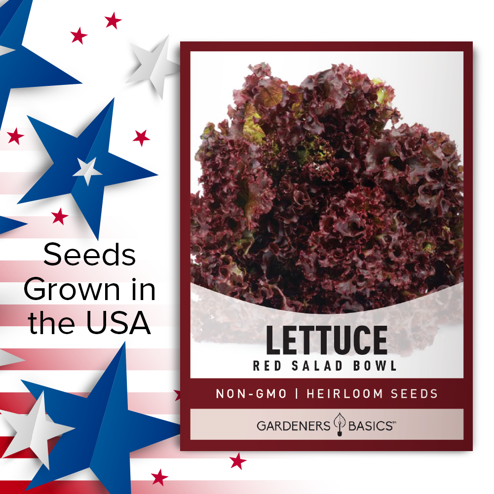Red Salad Bowl Lettuce Seeds - A Tasty & Nutritious Addition to Any Garden