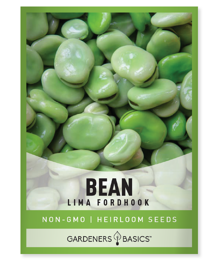 Fordhook Lima Bean Seeds The Perfect Choice for Your Garden