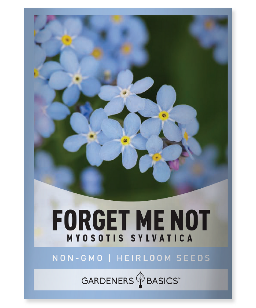 Forget Me Not seeds Myosotis sylvatica blue blooms flower seeds shade-loving flowers honey bee plants garden borders rock gardens plant seeds annual flowers biennial flowers moist soil shade gardening partial shade enchanting garden