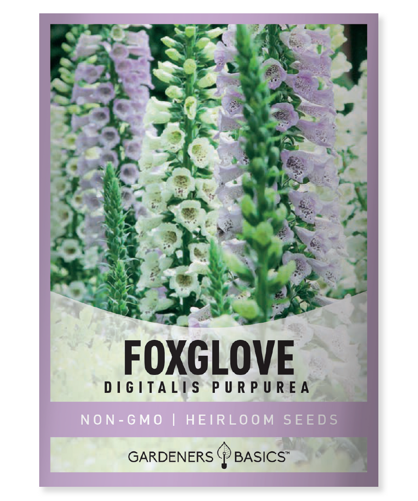 Foxglove seeds Digitalis purpurea Perennial plants Biennial plants Hummingbird attractor Summer blooms Old-fashioned charm Self-sowing plants Full sun Partial shade Shade-loving plants Poisonous plants Cottage-style gardens Heart medicine Re-blooming plants Low-maintenance plants Wildlife gardening Traditional plants Vibrant colors Garden design