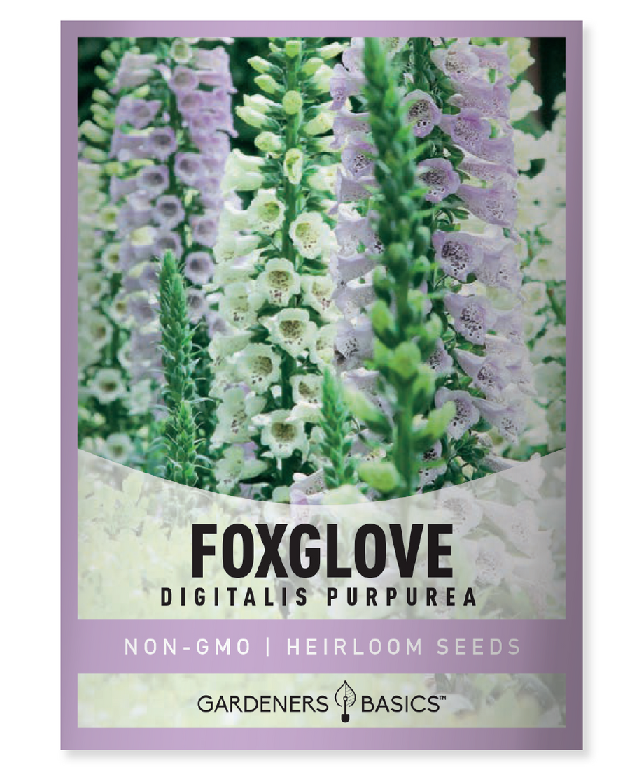 shade tolerant flower seeds Foxglove Seeds For Sale: Add These Pretty Flowers To Your Garden