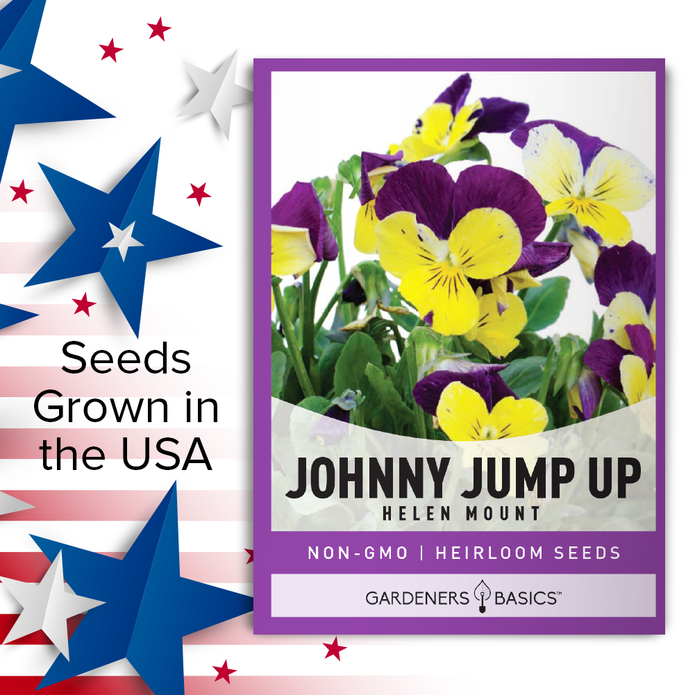 Cultivate Beauty with Helen Mount Johnny Jump Up Viola Cornuta Seeds