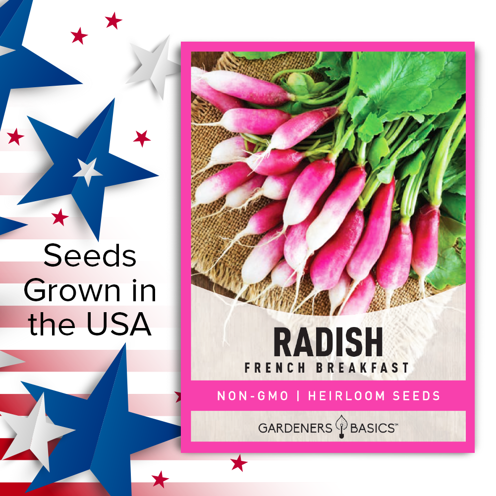 French Breakfast Radish Seeds For Planting Non-GMO Seeds For Home Vegetable Garden USA