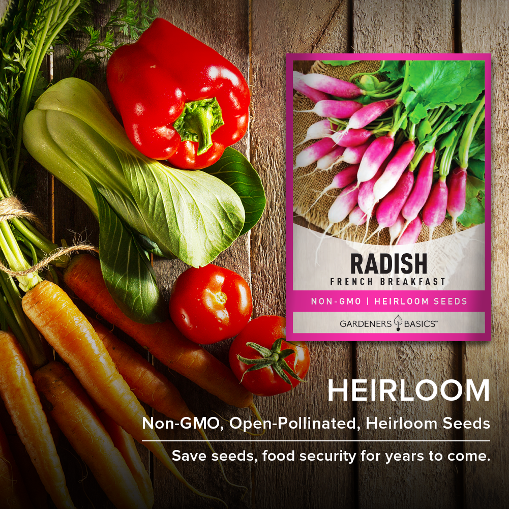 French Breakfast Radish Seeds For Planting Non-GMO Seeds For Home Vegetable Garden Heirloom