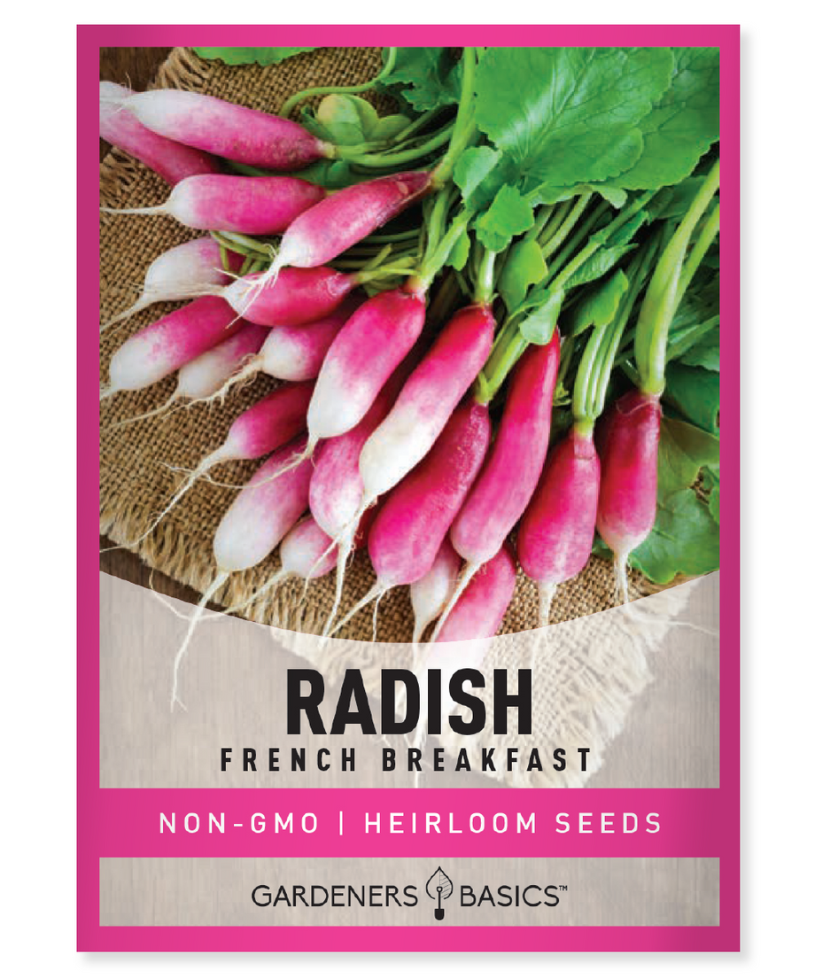 planting french breakfast radish seeds French Breakfast Radish Seeds