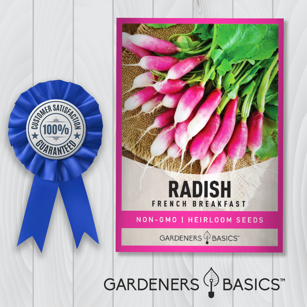 French Breakfast Radish Seeds For Planting Non-GMO Seeds For Home Garden