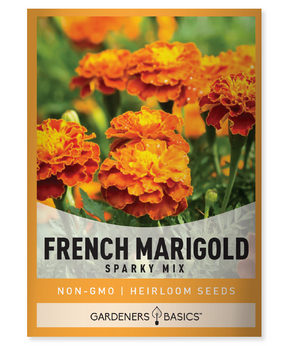 French Marigold Sparky Mix Tagetes patula Annual plant Mixed colors Wavy petals Container gardening Beds and borders Pollinator garden Insect repellent Vegetable garden Vibrant Easy to grow Long blooming period Full sun Dry to moderate moisture Height 12-20 inches Summer-fall blooms Beneficial insects Low maintenance Garden enthusiast