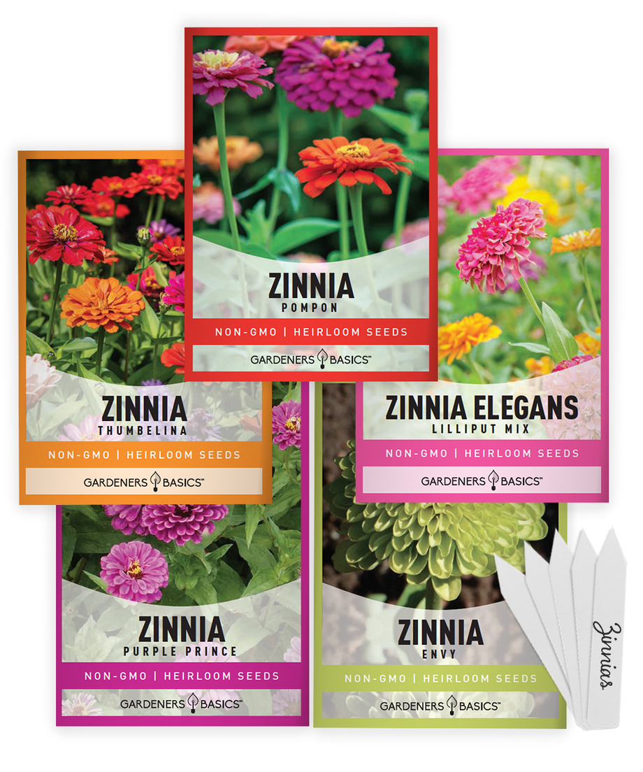 Zinnia Seeds for Outdoor Planting  5 Variety Pack – Gardeners Basics